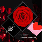 Rose Éternelle Rouge avec Collier en Argent 925