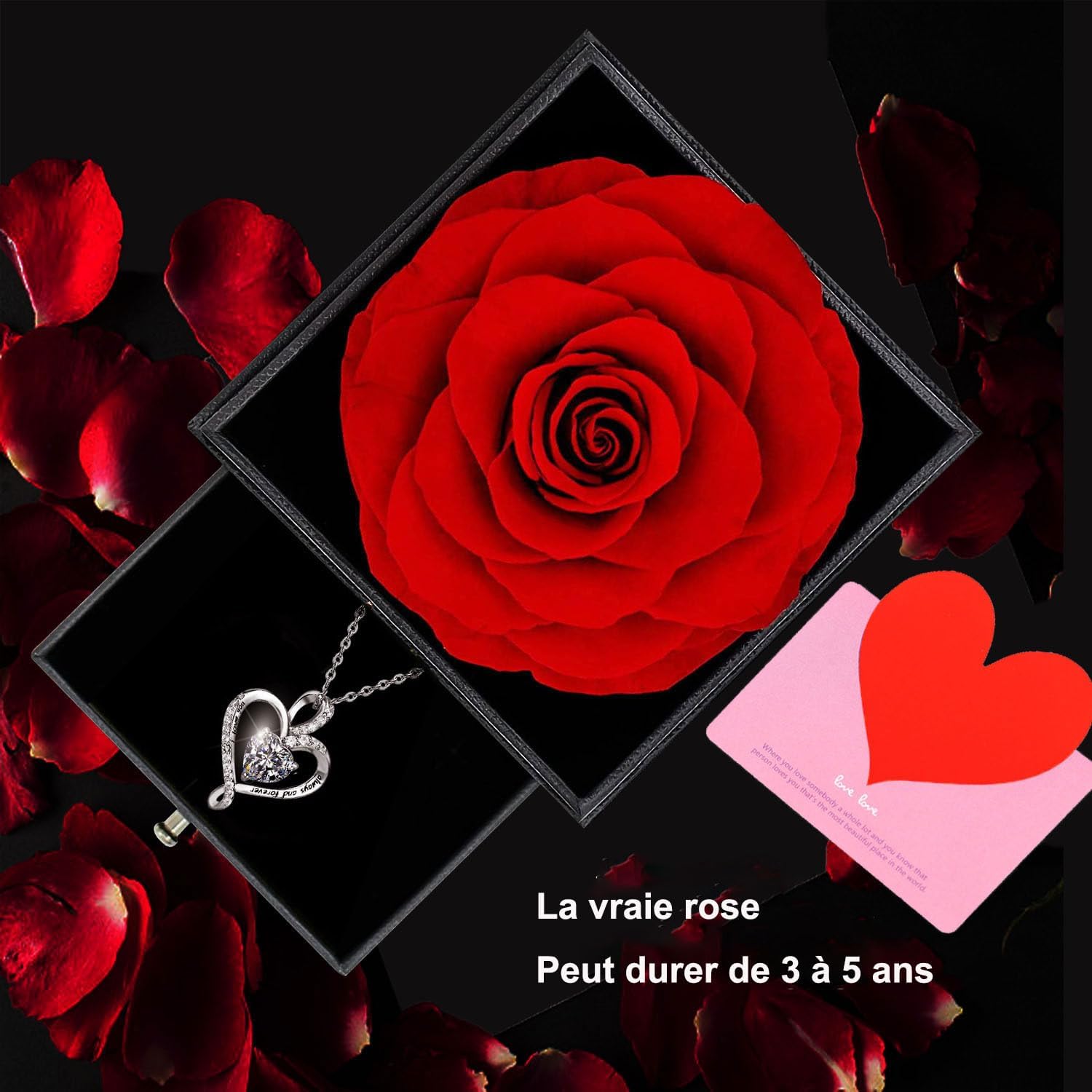 Rose Éternelle Rouge avec Collier en Argent 925